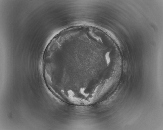 X0000111000863200907101451