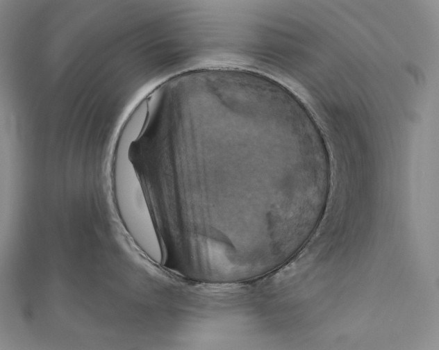 X0000111000864200907101451