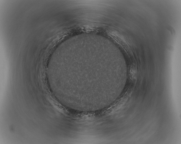 X0000111000865200907101450