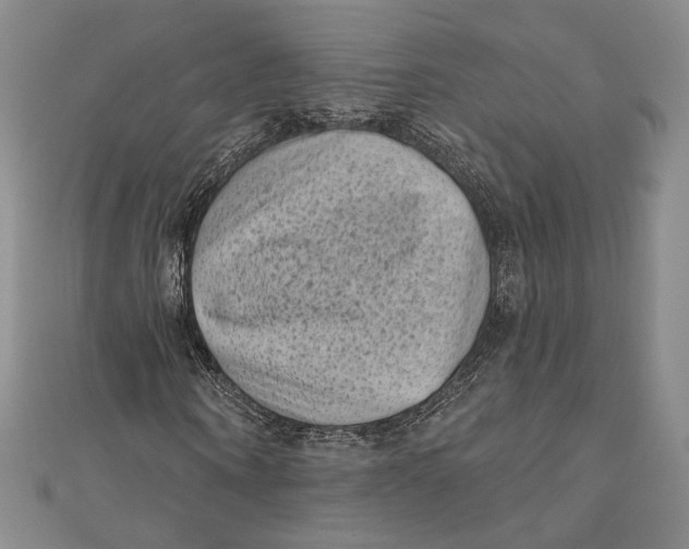 X0000111000866200907101450