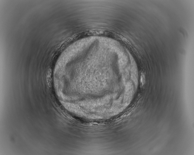 X0000111000867200907101450