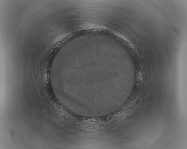 X0000111000869200907101450