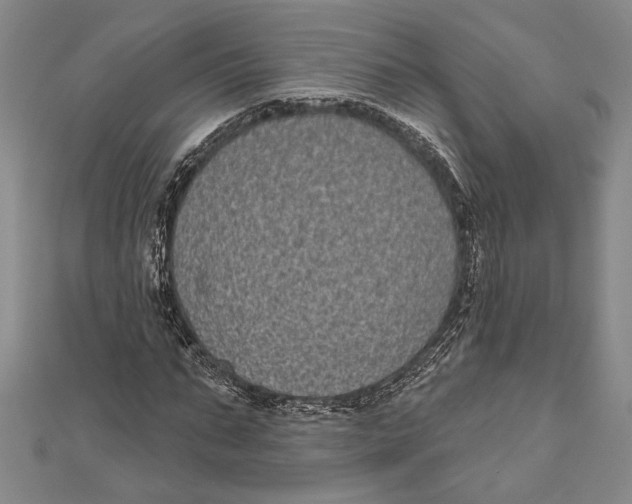 X0000111000871200907101450