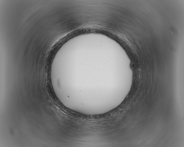 X0000111000872200907101450