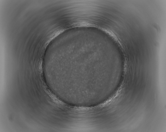 X0000111000873200907101450