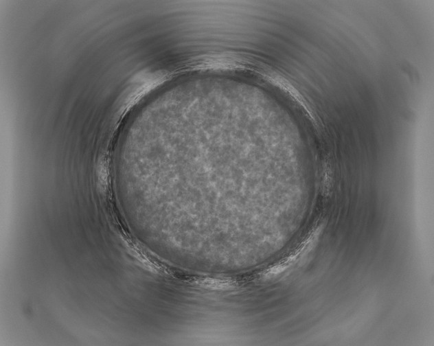 X0000111000874200907101450