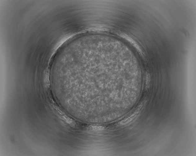 X0000111000878200907101450