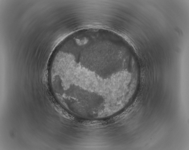 X0000111000879200907101450