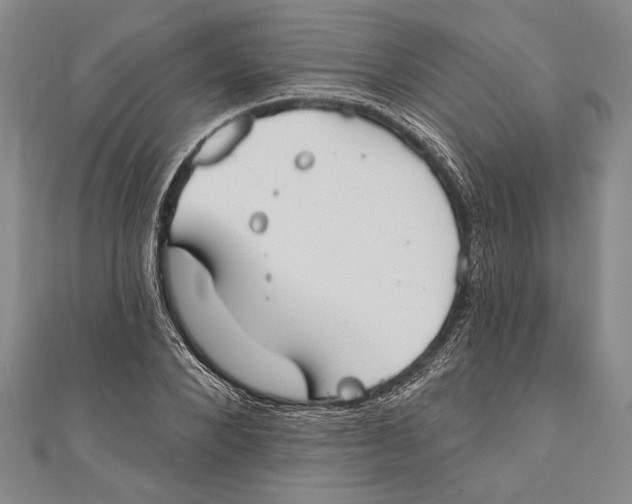 X0000111000880200907101450