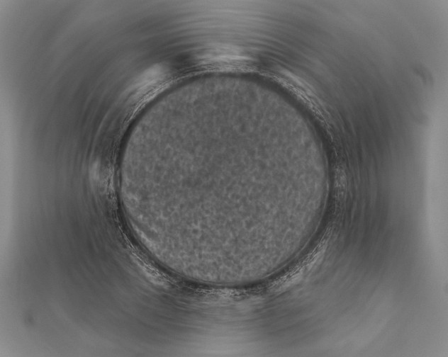 X0000111000881200907101450