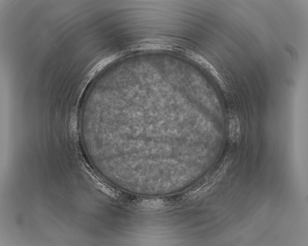 X0000111000882200907101450