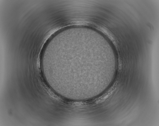 X0000111000883200907101450