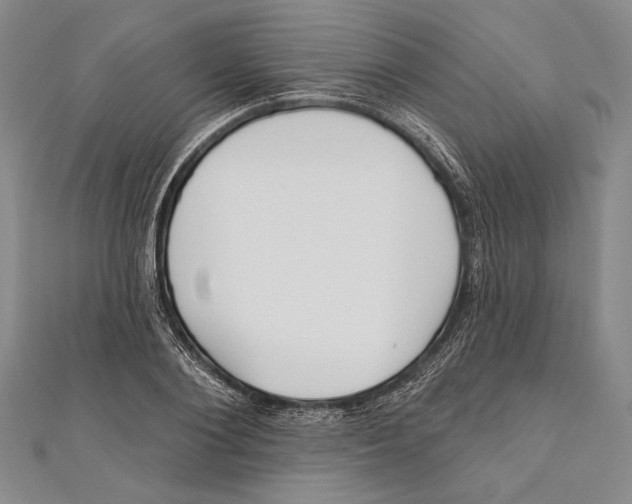 X0000111000884200907101450