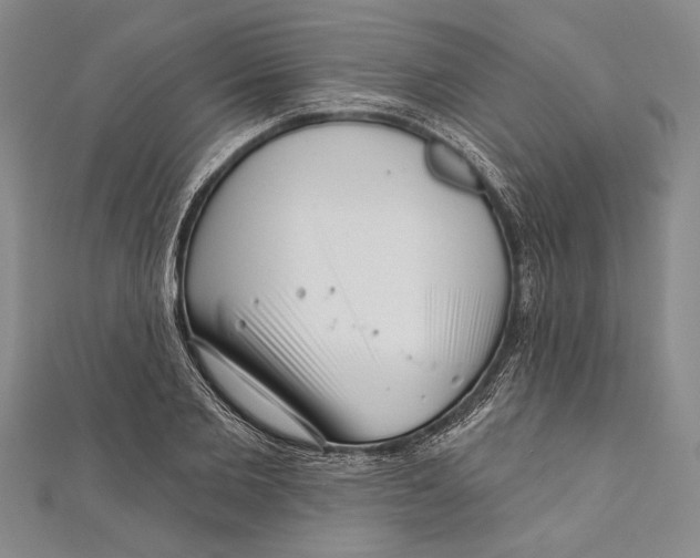 X0000111000885200907101450