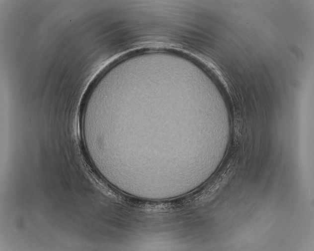 X0000111000887200907101450