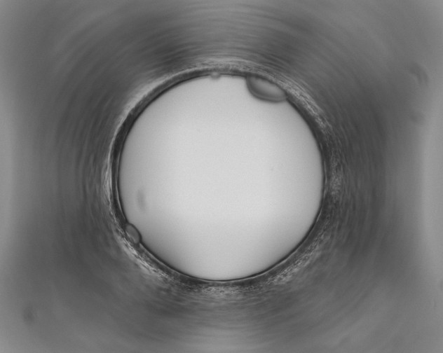 X0000111000888200907101449