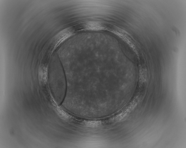 X0000111000889200907101449