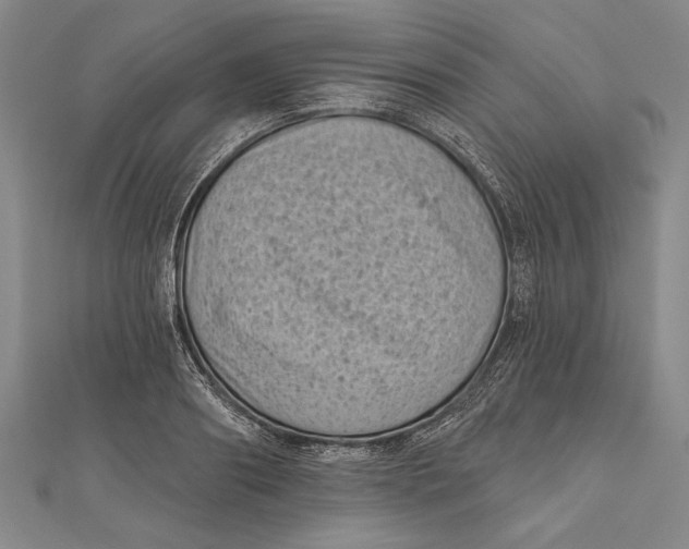 X0000111000890200907101449