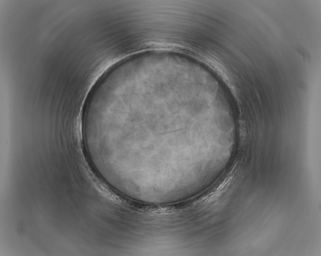 X0000111000891200907101449