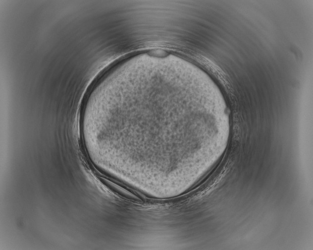 X0000111000892200907101449