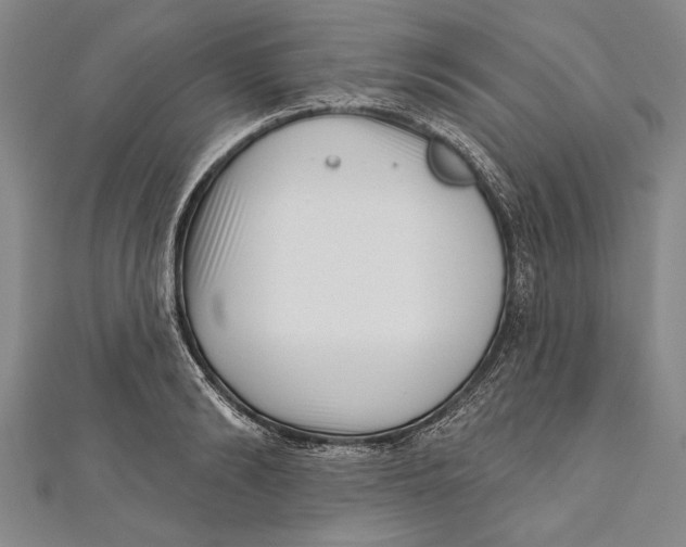 X0000111000894200907101449