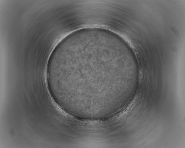 X0000111000895200907101449