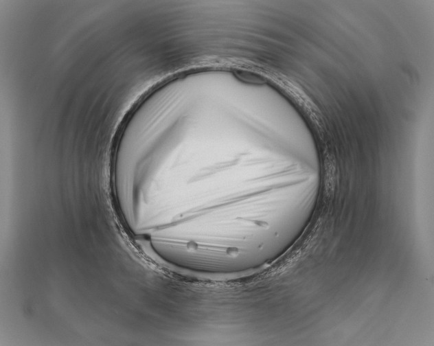 X0000111000896200907101449