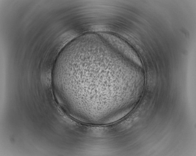 X0000111000897200907101449