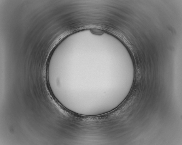 X0000111000898200907101449