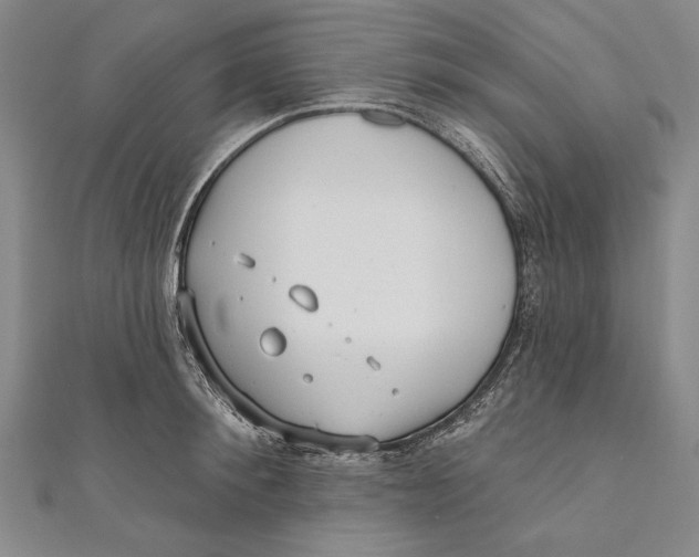 X0000111000900200907101449