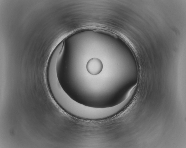 X0000111000901200907101449