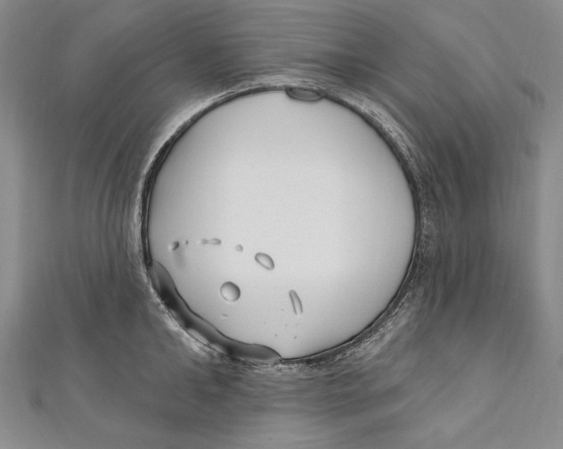 X0000111000902200907101449