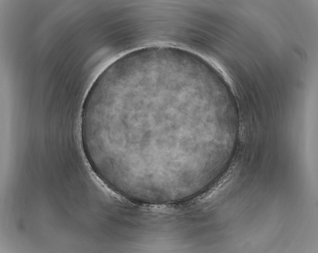 X0000111000903200907101449