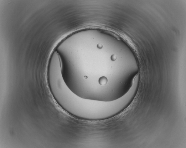 X0000111000904200907101449