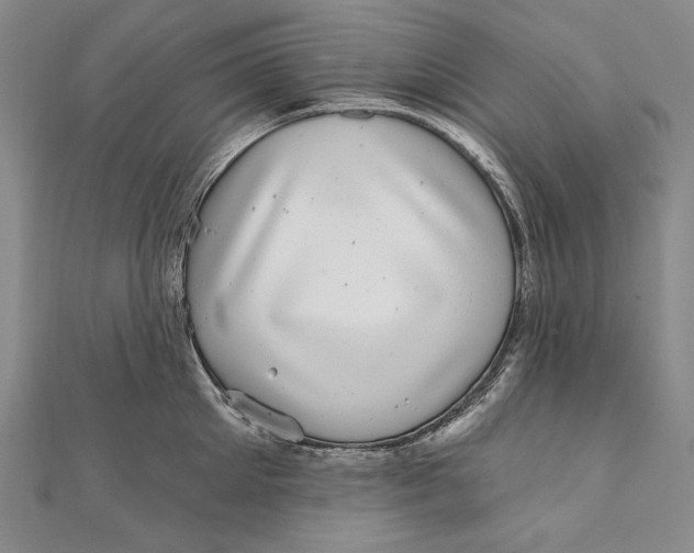 X0000111000905200907101449