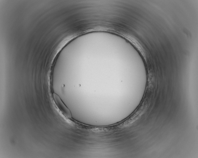 X0000111000906200907101449