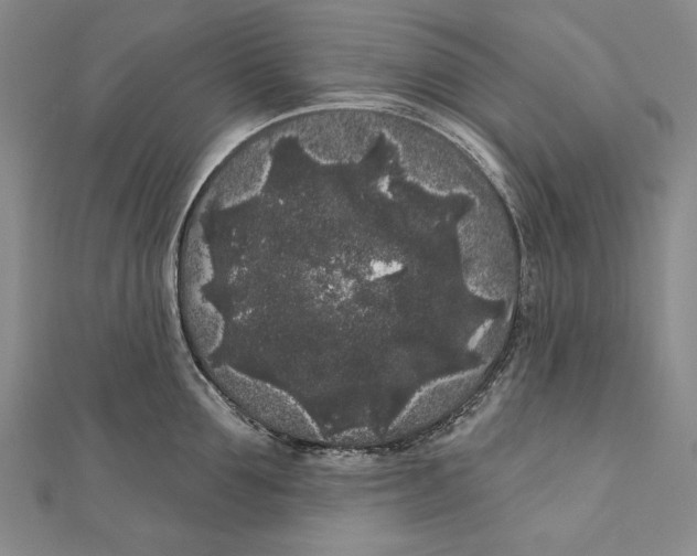 X0000111000907200907101449