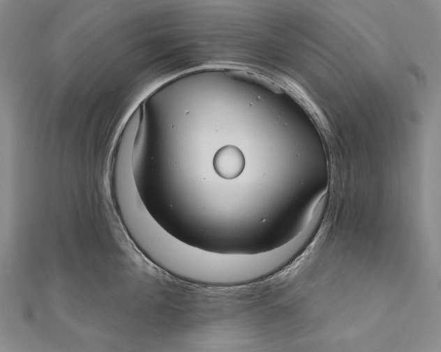 X0000111000908200907101449