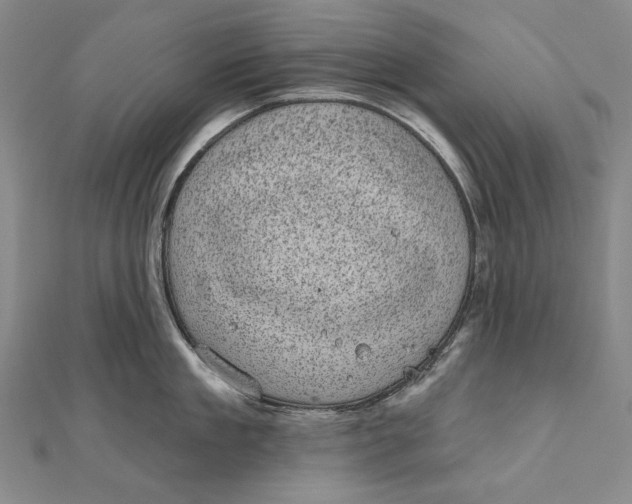 X0000111000909200907101449