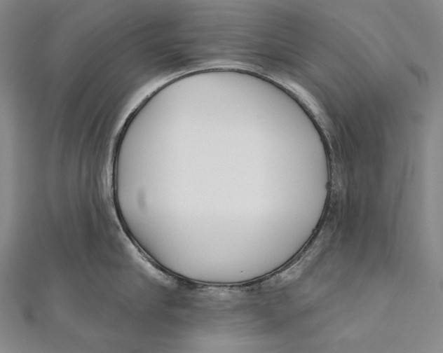 X0000111000910200907101449