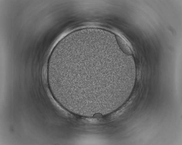 X0000111000911200907101449