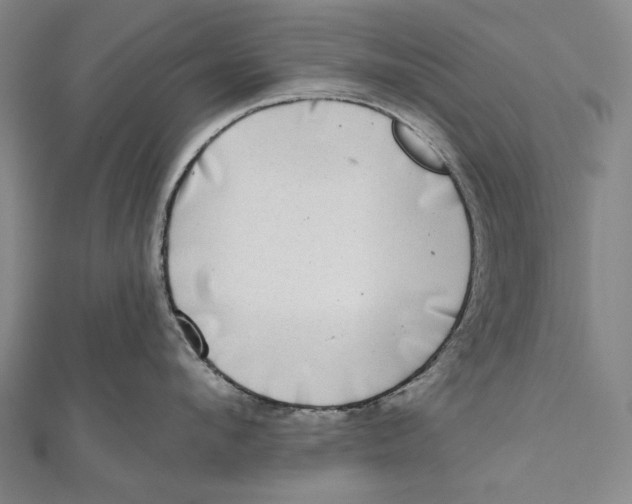 X0000111000912200907101449