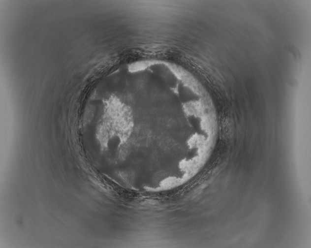 X0000111000913200907101449