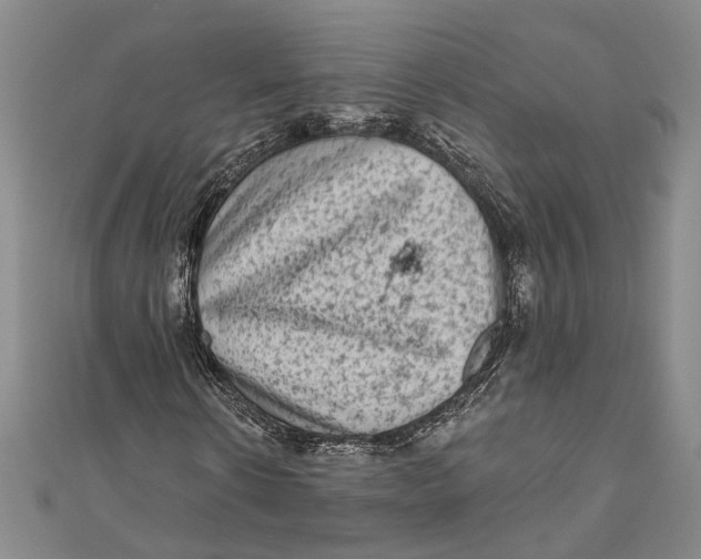 X0000111000914200907101449