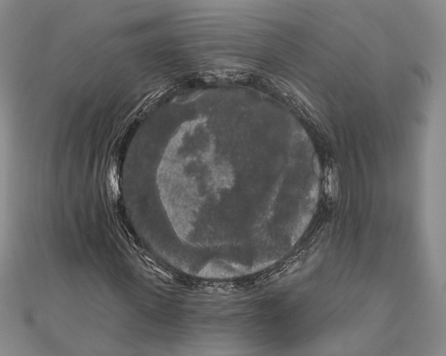 X0000111000915200907101449