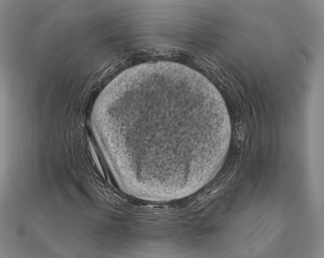 X0000111000916200907101449