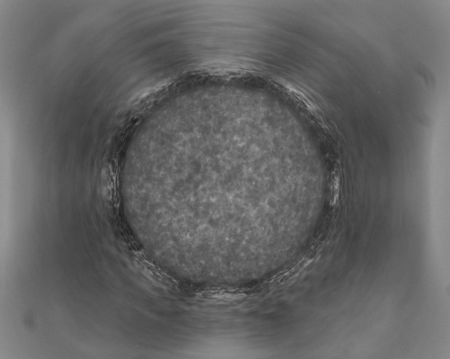 X0000111000917200907101449