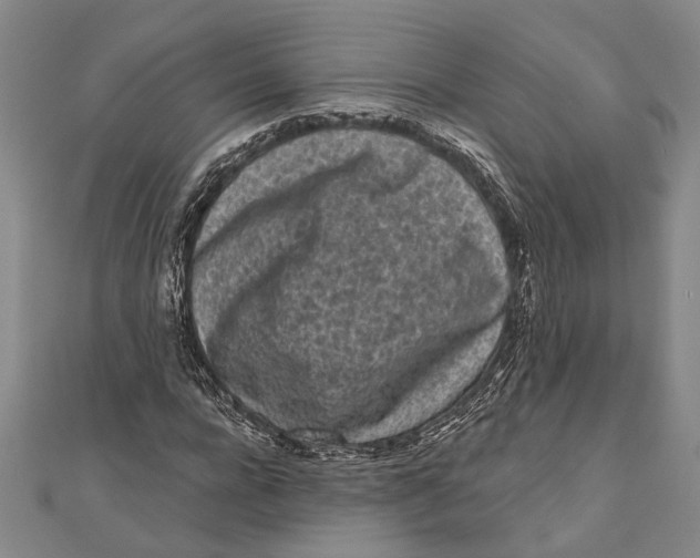 X0000111000920200907101449