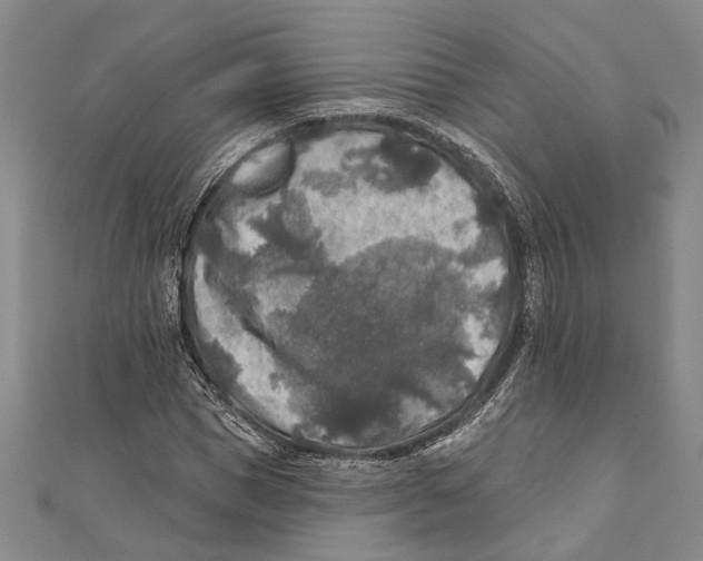 X0000111000921200907101449