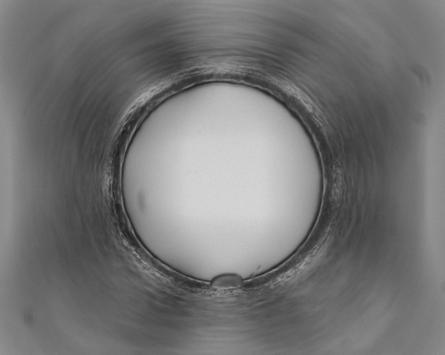 X0000111000922200907101449